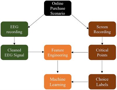 Human behavior in free search online shopping scenarios can be predicted from EEG activation using Hjorth parameters